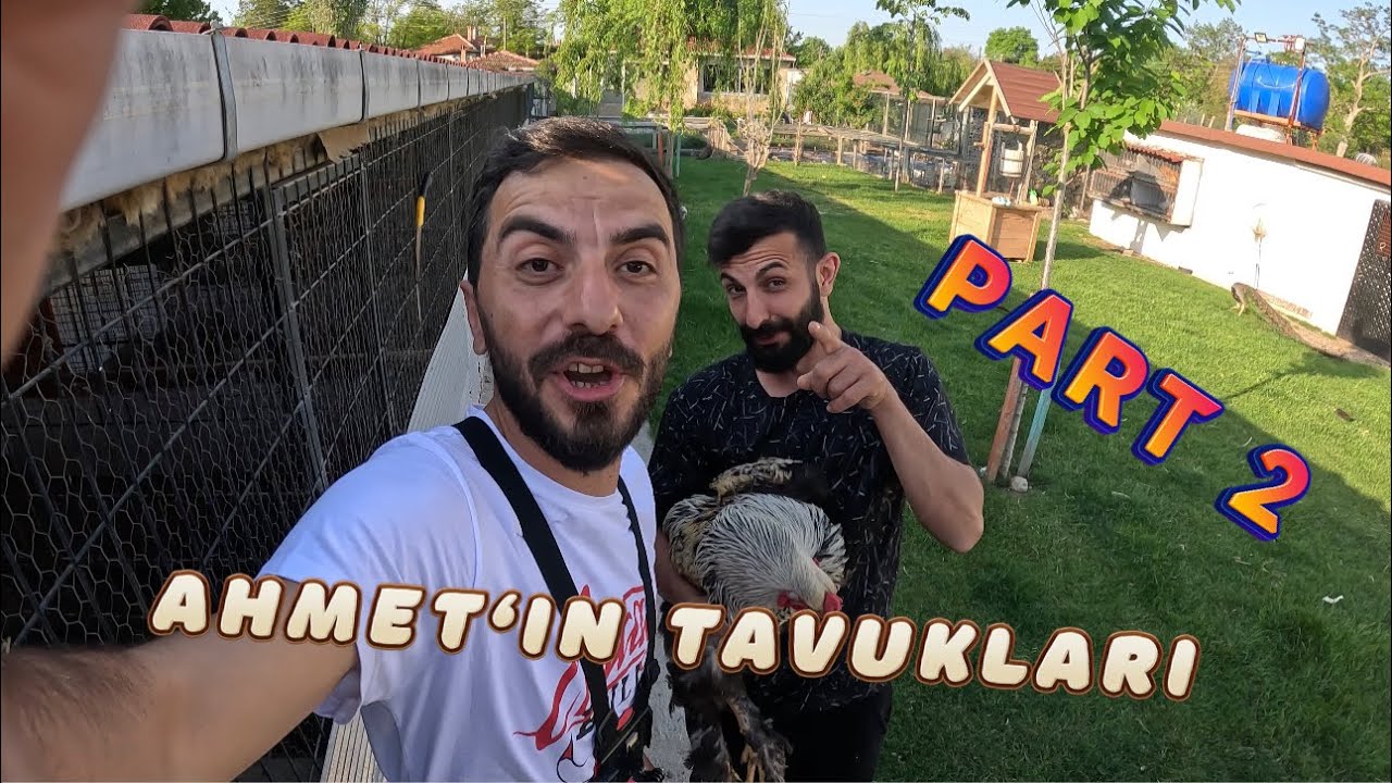 AHMETİN TAVUKLARİ KAMERA ARKASİ PART 2  @casinoocann  @emrahbilgibrahma @HarikalarDiyarii