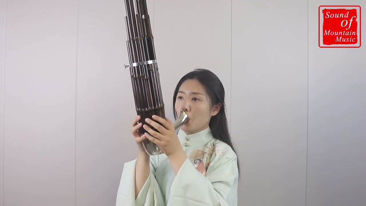 Professional Level Chinese Ancient Instrument Sheng 21 Pipes With Case 笙