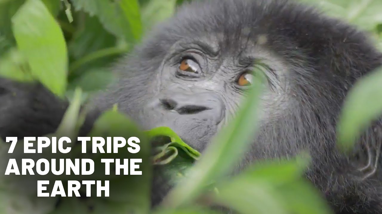 7 Most Epic Trips Around The Earth | My Epic Trip