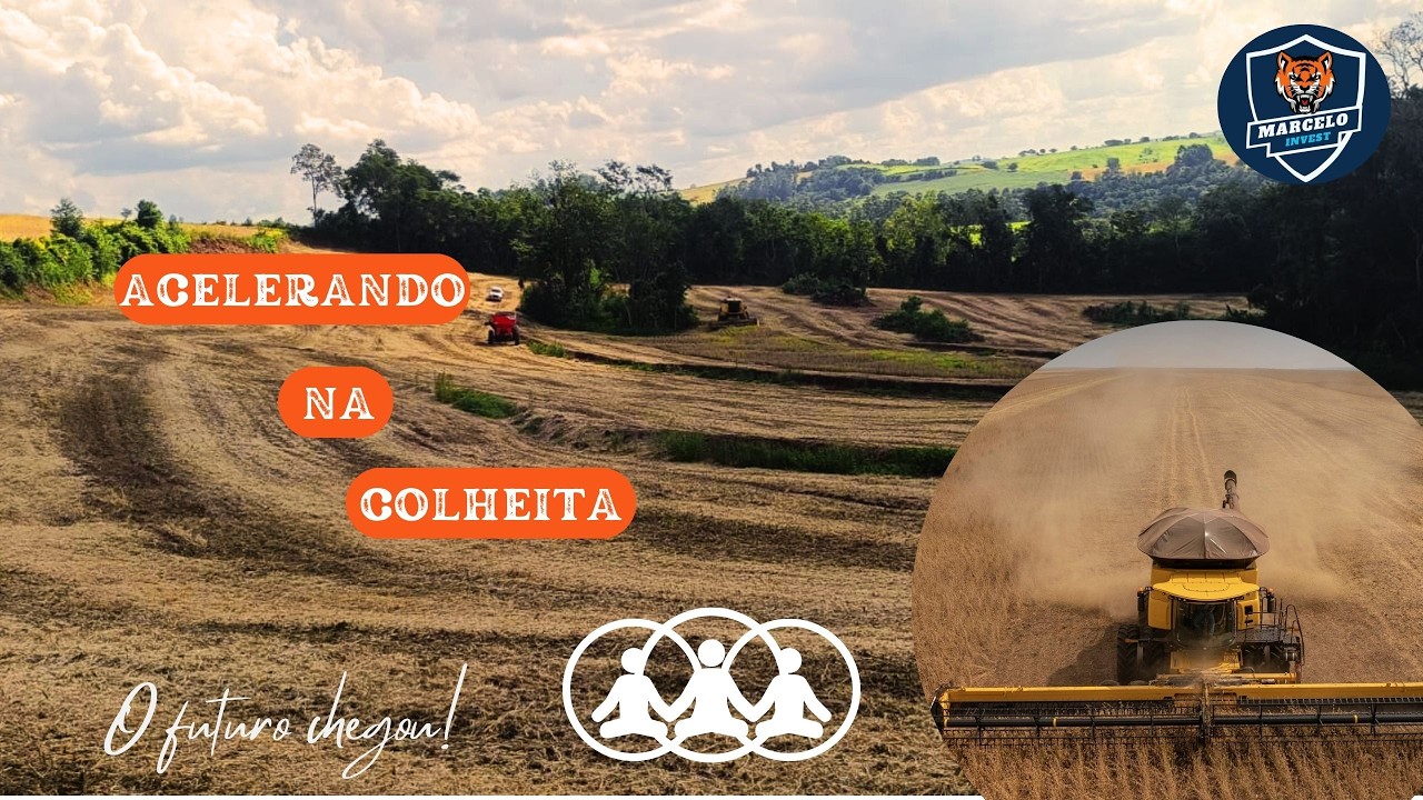 ✅ COMO FOI A COLHEITA DO SOJA DOM MARIO 5659 #plantas #chuva #agro#farming