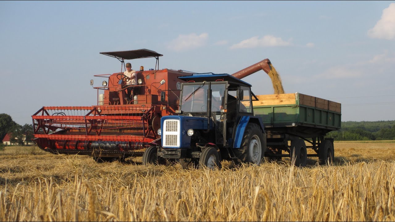 Super żniwa - akcja Bizon 2012