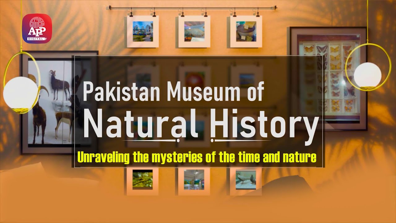 Pakistan Museum of Natural History || PMNH