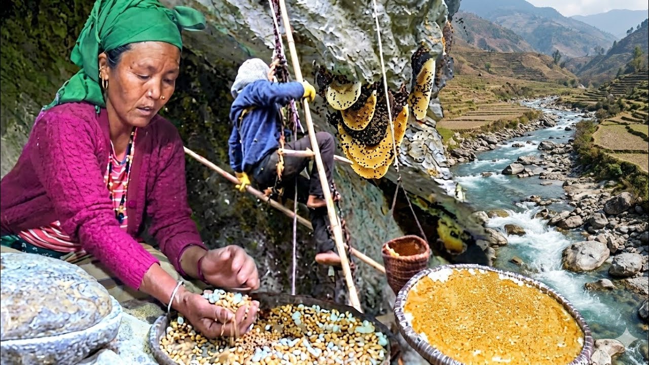 The Deadliest Honey Hunt: Brave Tribes of Nepal Harvest Mad Honey from Extreme Cliffs.