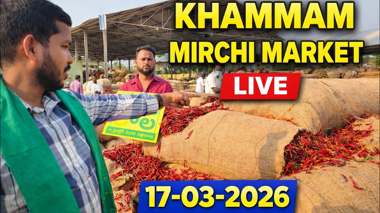 ఈ రోజు 17-03-2026 ఖమ్మం మార్కెట్ ధరలు జెండా పాట live లో అందరు జాయిన్ అవ్వండి 🙏🙏
