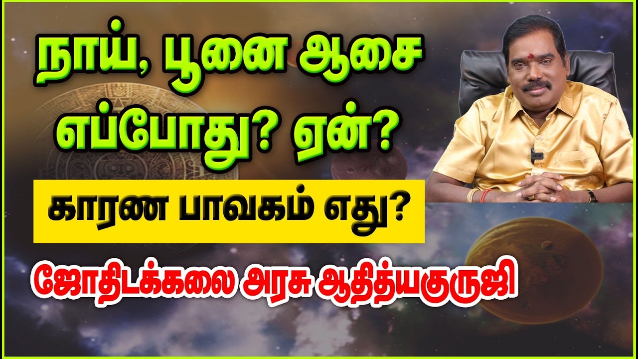 நாய், பூனை ஆசை எப்போது? ஏன்? காரண பாவகம் எது? #adityaguruji #gurujitvvideos#pets#animals