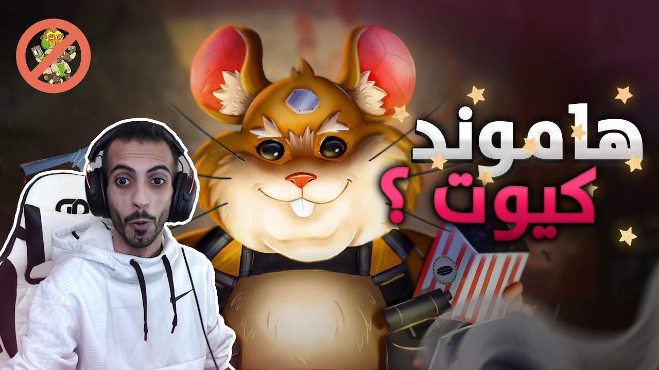 #عشوائيات_درث : هاموند كيوت ؟ 🐹 سكن العلكة يفوز 😱🔥