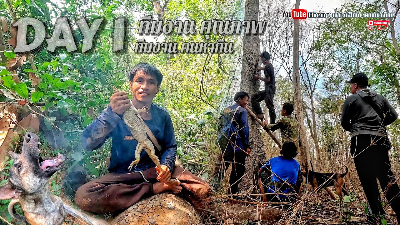 พาทีมงานสี่ขาออกตะลุยป่า//ພາທີມງານສີ່ຂາອອກຕະລຸຍປ່າ Hieng บ่าวเฮียง คนหากิน