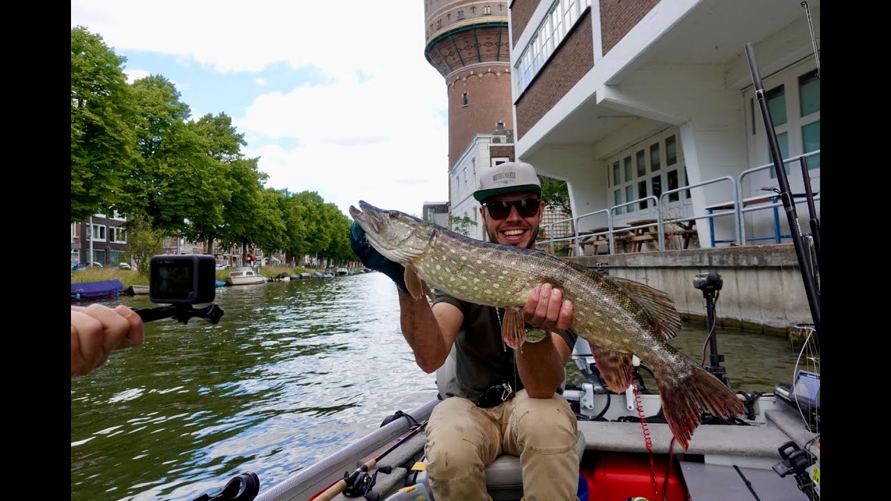 Snoeken op de vecht en centrum Utrecht juli 2020