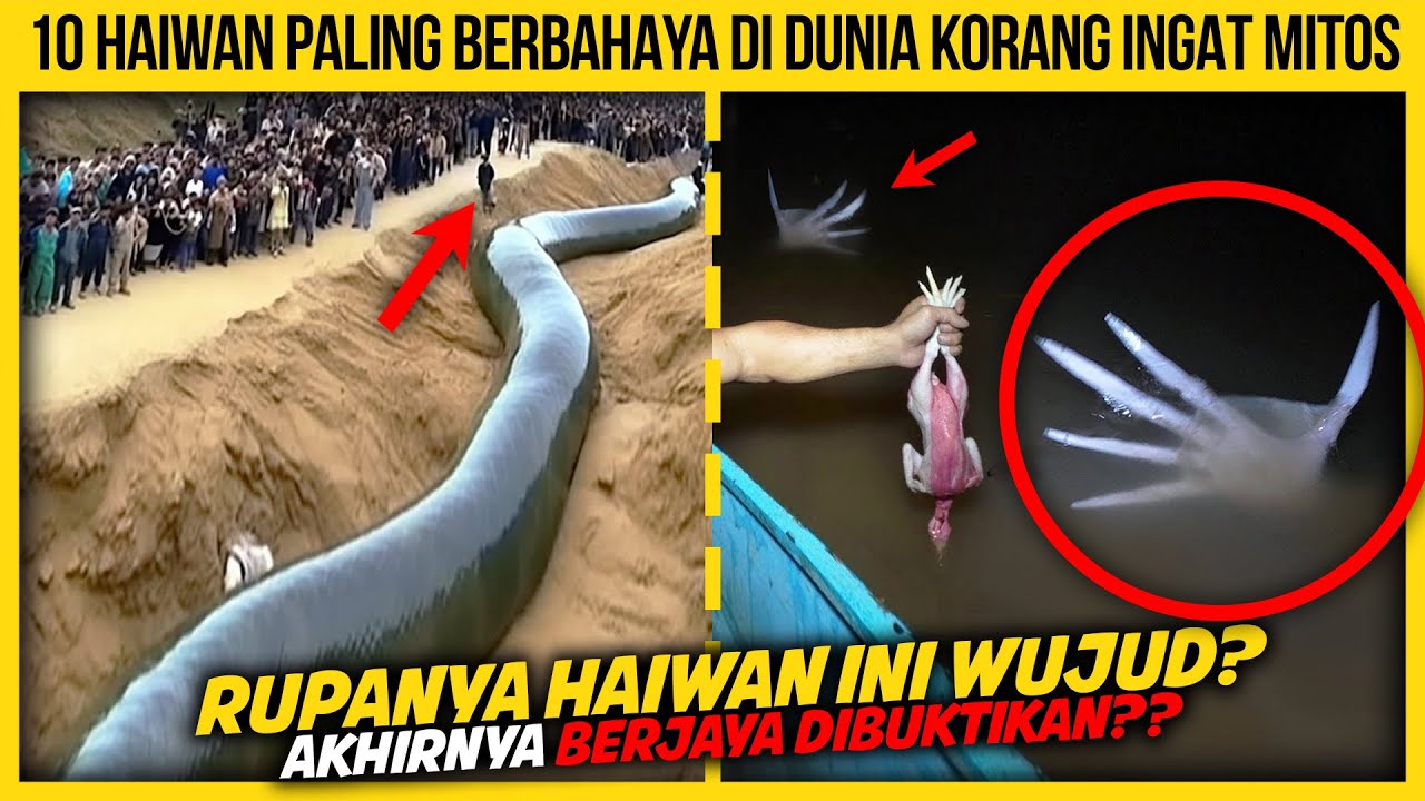 10 HAIWAN PALING BERBAHAYA DI DUNIA KORANG INGAT MITOS