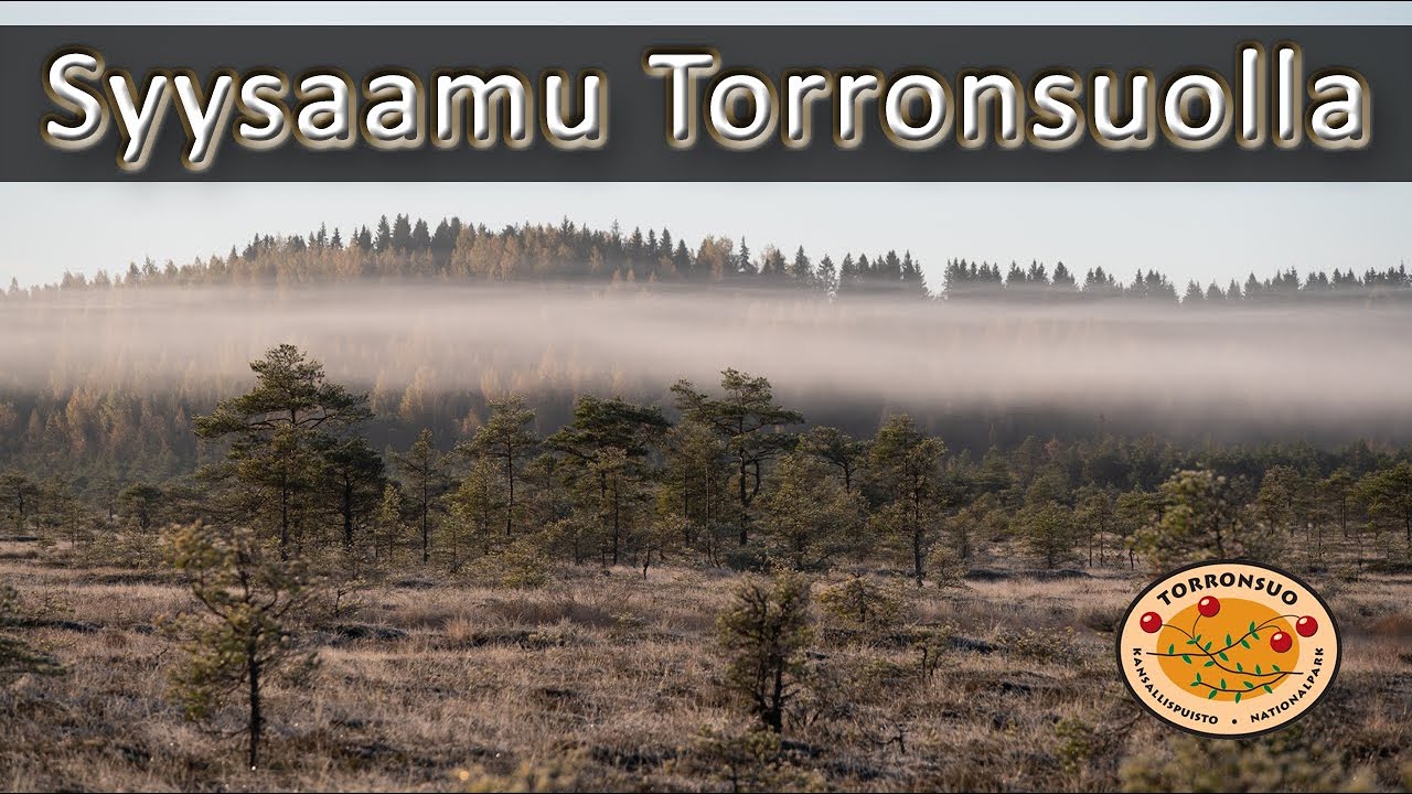 Syksyinen tunnelmallinen aamu Torronsuon kansallispuistossa. Pakkasyön kuuraa ja usvaa.