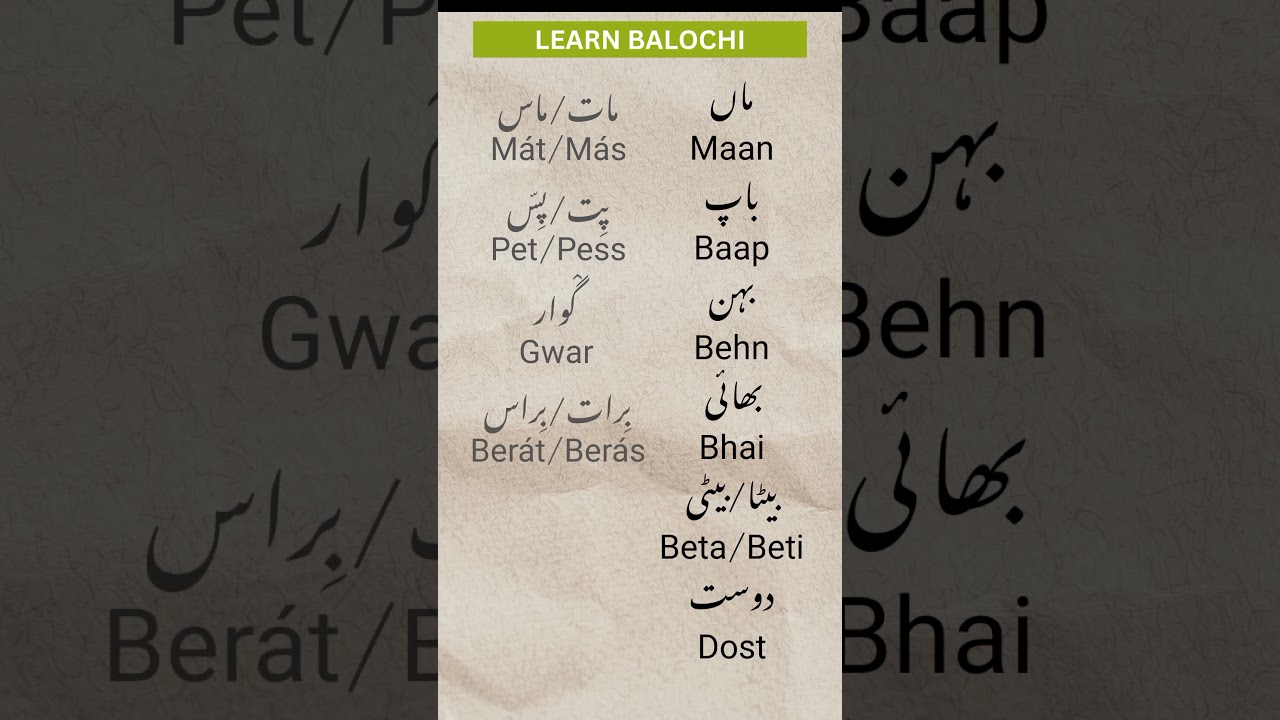 Names of Family members in Balochi to Urdu #balochi #learnbalochi #balochiseekho
