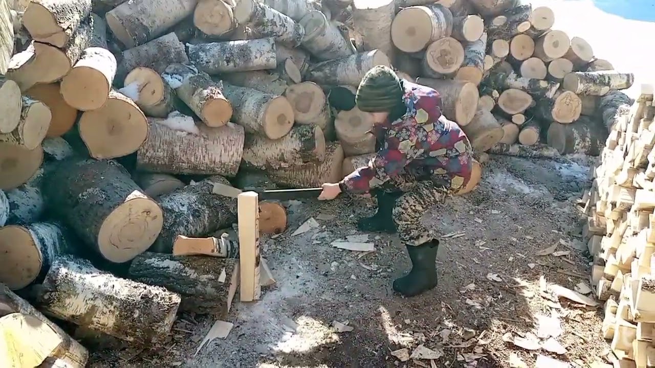 Юный дровосек колет дрова, МтЗ не успевает возить.