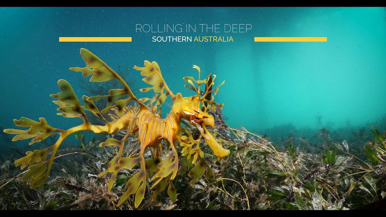 Rolling in the Deep - #17 - Southern Australia