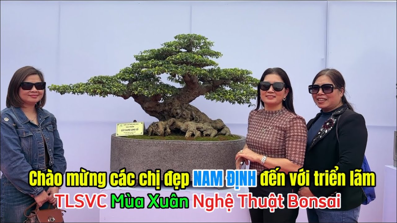 Quảng Tùng| Chia sẻ quý vị, CHÀO MỪNG CÁC CHỊ ĐẸP NAM ĐỊNH ĐƯENS VỚI TRIỆU ĐIỀN TL MÙA XUÂN