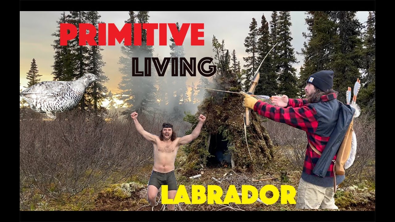 Catch And Cook Survival Labrador | Wild Tea, Smoking Fish And Primitive Hunting Ep-2