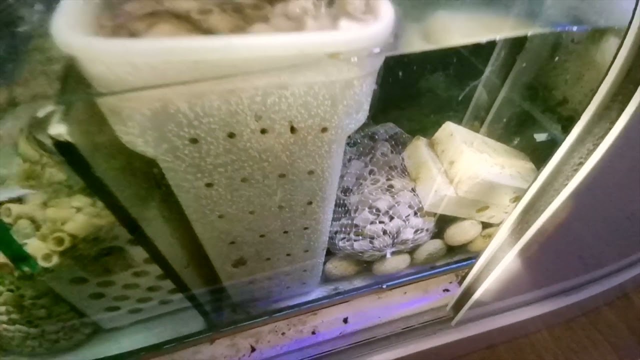 NOTI-MUNDO ESP - CONFIGURACIÓN DE MI SUMP