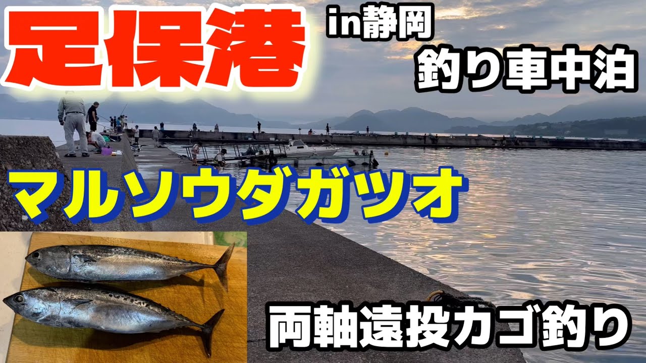 【足保港】in静岡、初めてのマルソウダガツオ！両軸遠投カゴ釣り