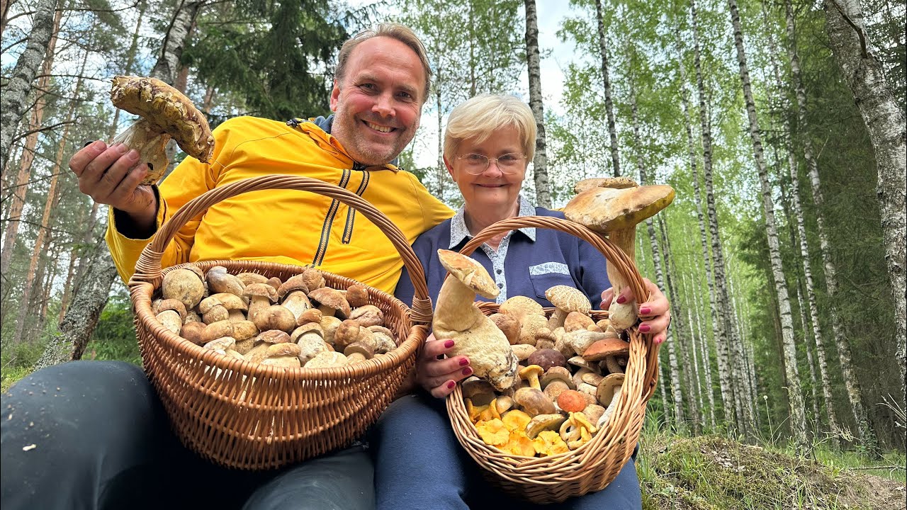 SZOK! Wysyp borowików na Podlasiu. Kosmiczne grzybobranie z Anią. Grzyby 2025.