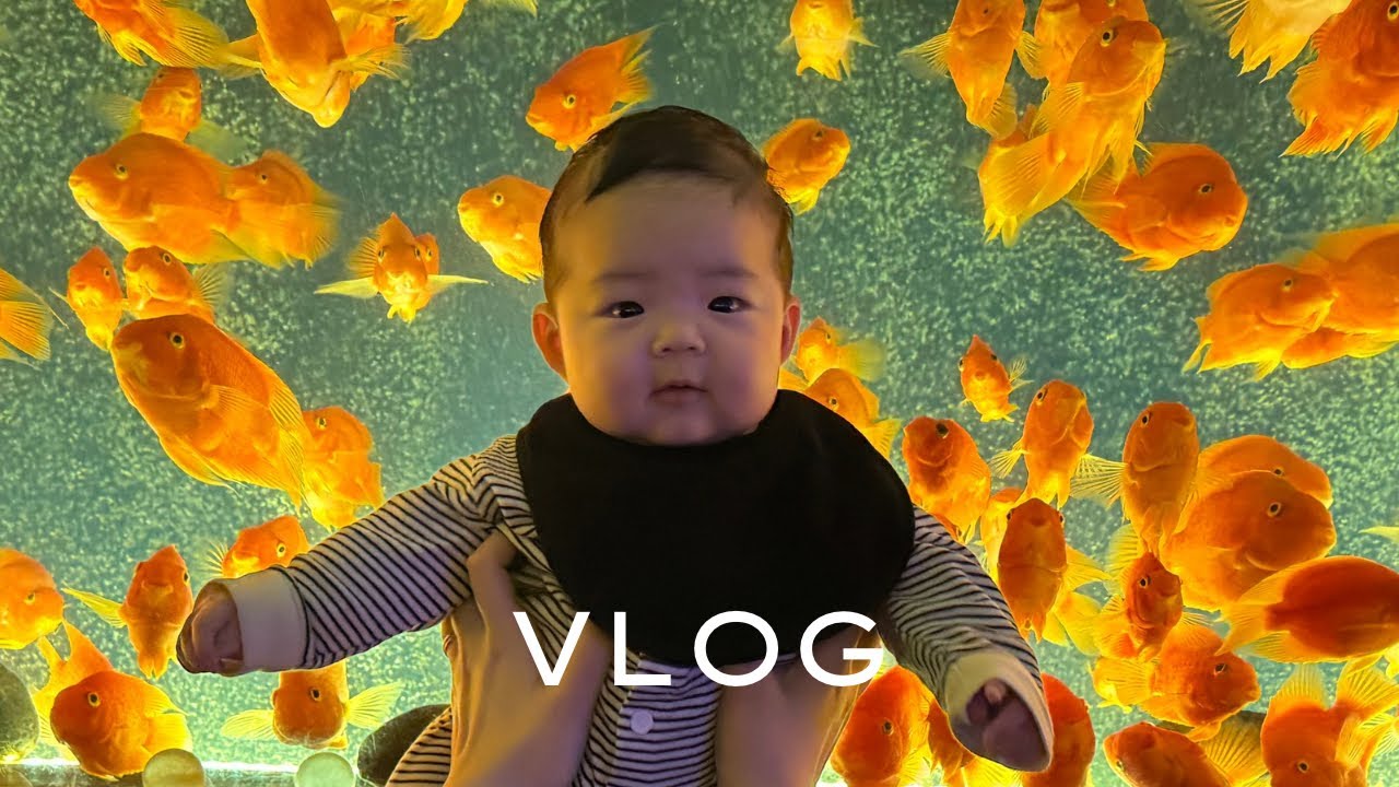 [육아vlog] 제주살이 4탄! 3개월 아기와 함께한 제주살이 끝! | 아쿠아플라넷, 우동카덴