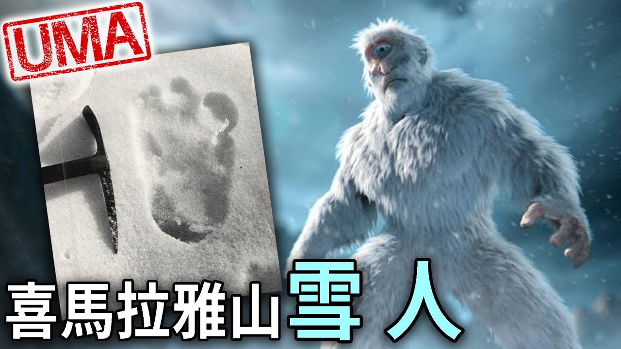 【UMA檔案】喜馬拉雅山雪人- 「YETI 夜帝」棲息於高山上人跡罕至的極寒之地，大雪壟罩下的類人生物。