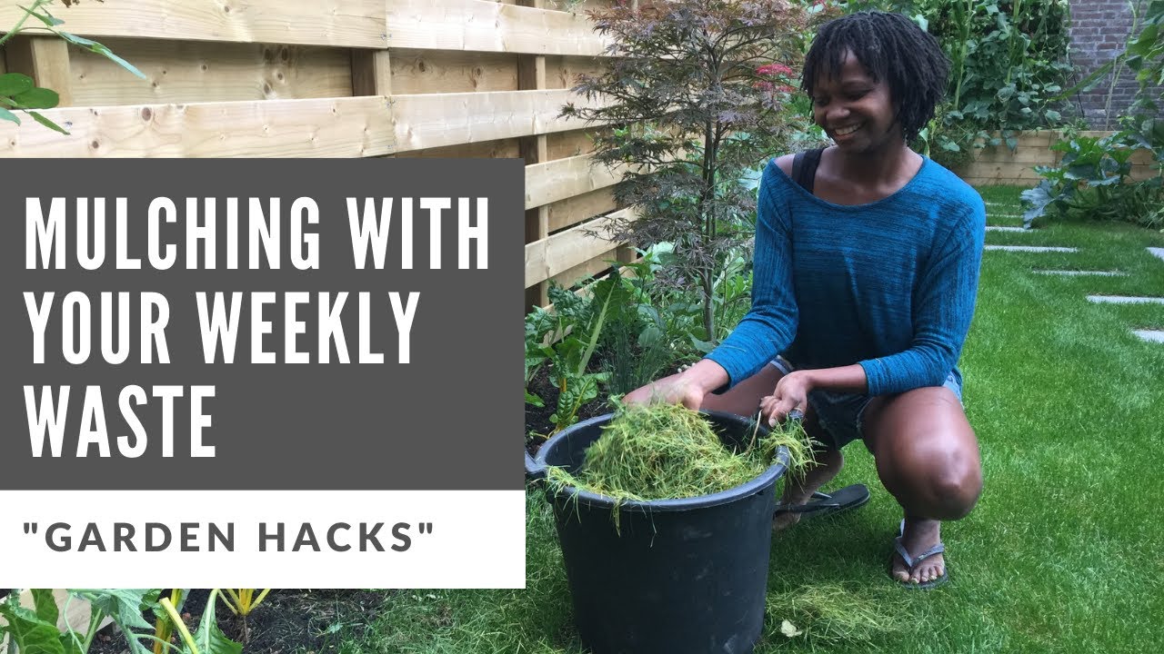 Mulching With Grass Clippings