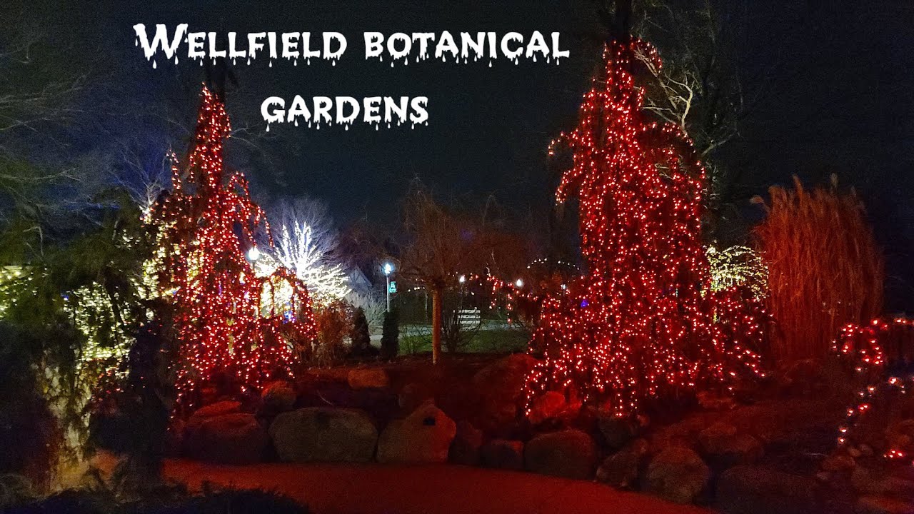 Wellfield botanical gardens holiday light walk through