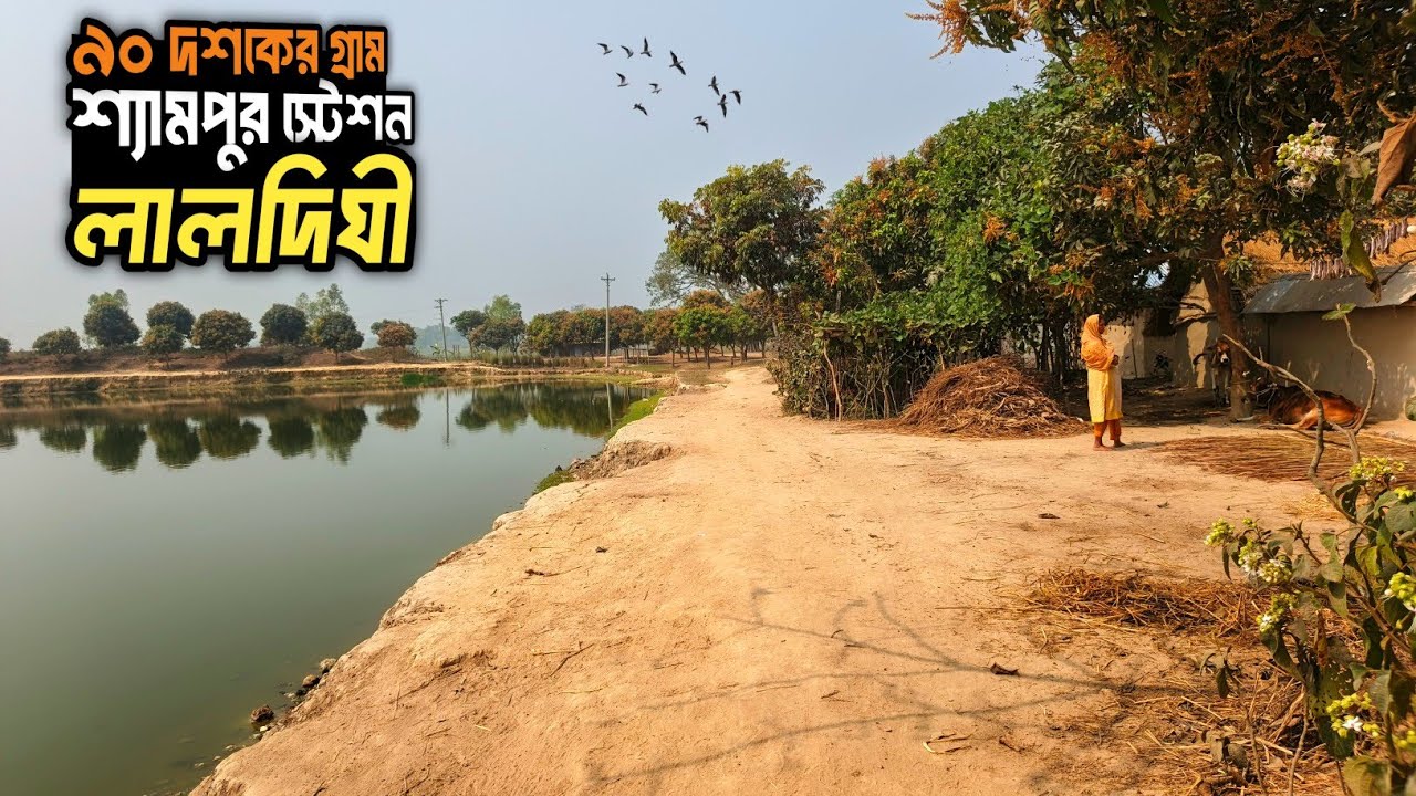 শ্যামপুর চিনিকল ও লালদিঘি: ৯০ দশকের মতোই গ্রাম আজও!Laldighi Village Life | 90s Nostalgia