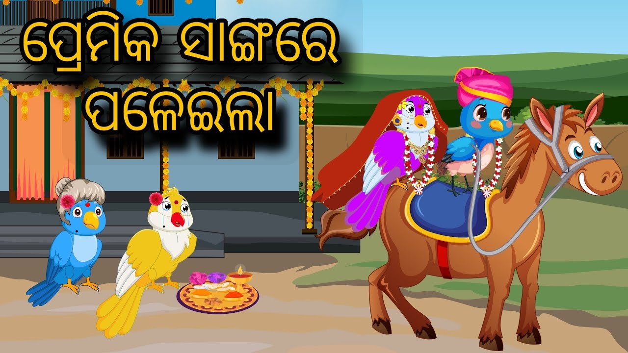 Premik Saha Paleila | Tiki Chadhei Gapa | Odia gapa | Moral Story | Bird Story | cartoon story