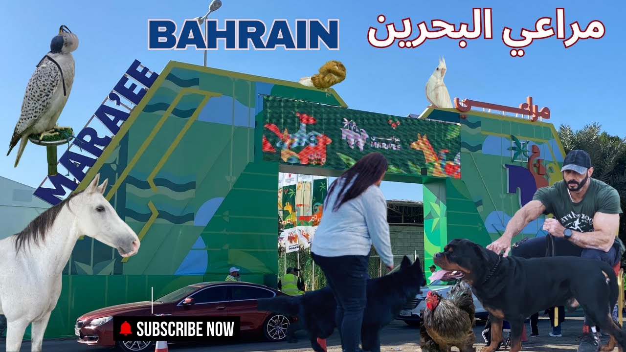معرض مراعي البحرين ٢٠٢٤ | MARAEE BAHRAIN 2024 | dogs Show | Animals