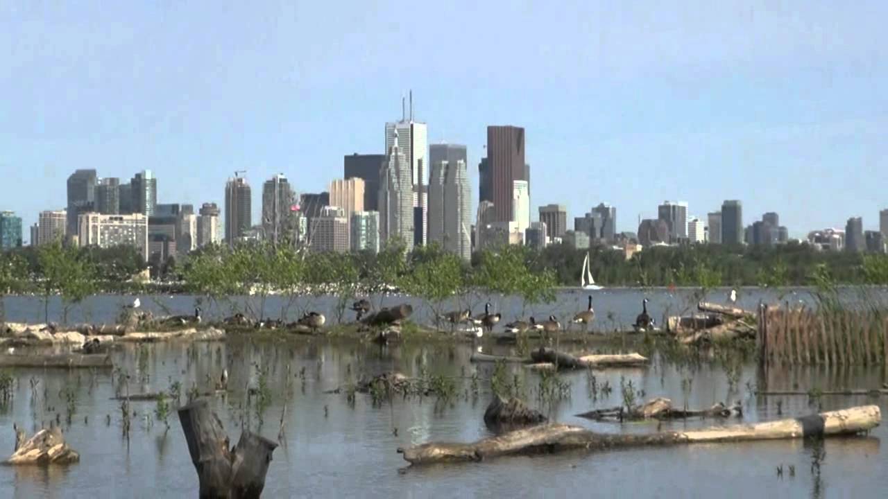 Fauna of Toronto's Leslie Street Spit