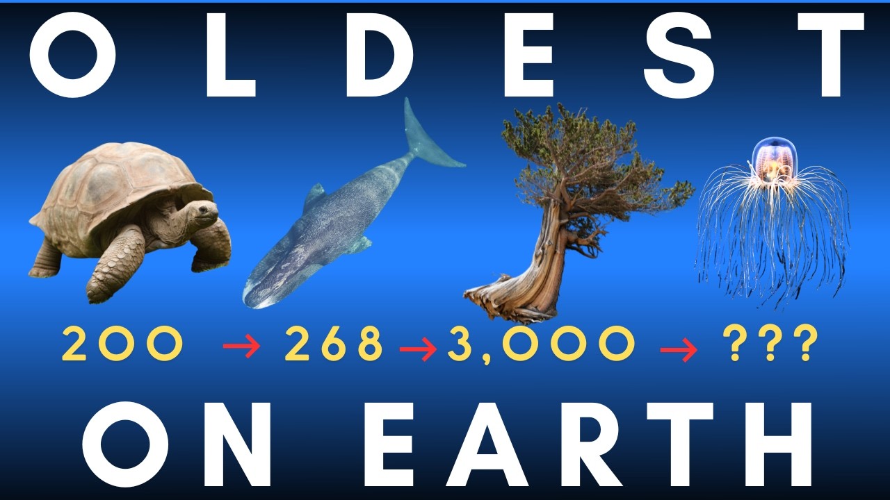 Longest-Living Organisms on Earth