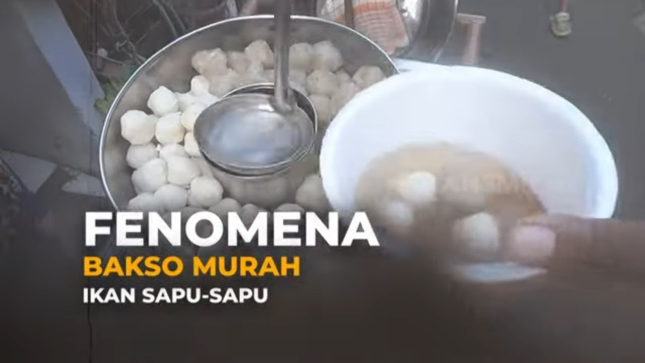 Fenomena Baksi Murah Ikan sapu Sapu | SECRET STORY (21/05/24)