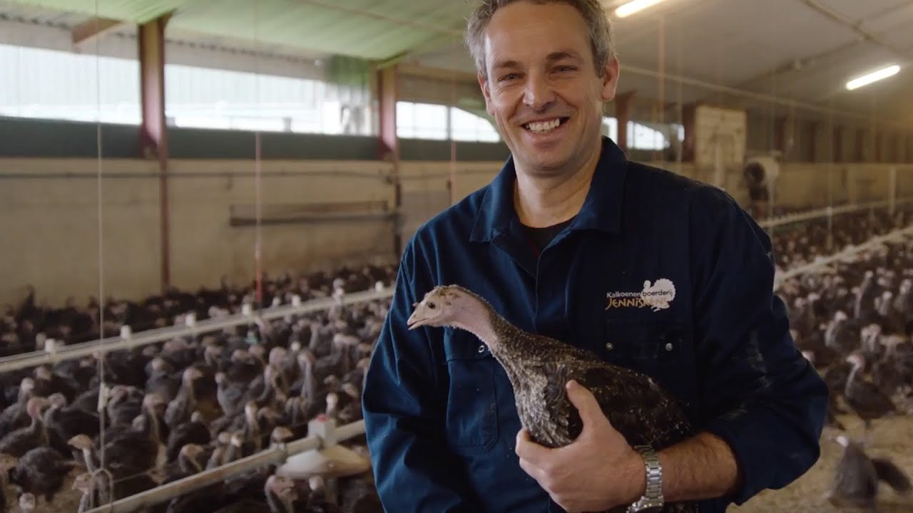 Oorsprong: Jumbo Kalkoen