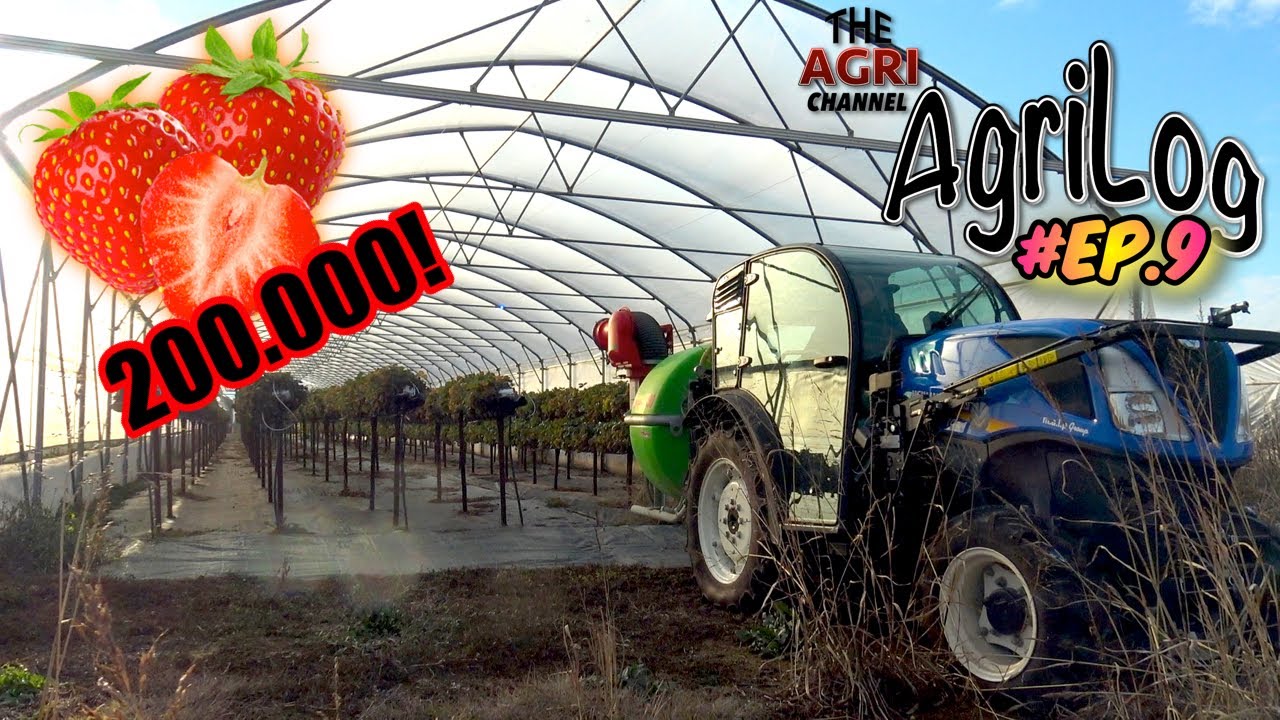 AGRILOG #EP.9 - 200.000 PIANTE DI FRAGOLE e UN TRATTORE!