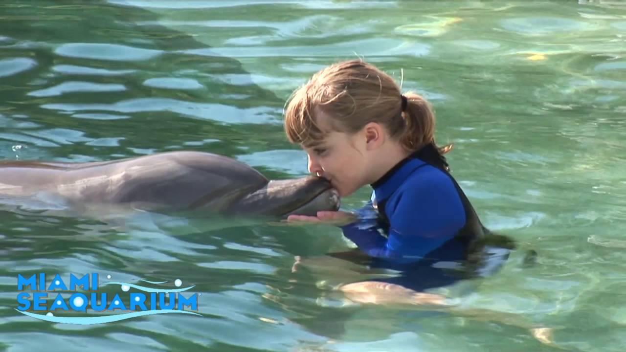 Miami Seaquarium  June 2016