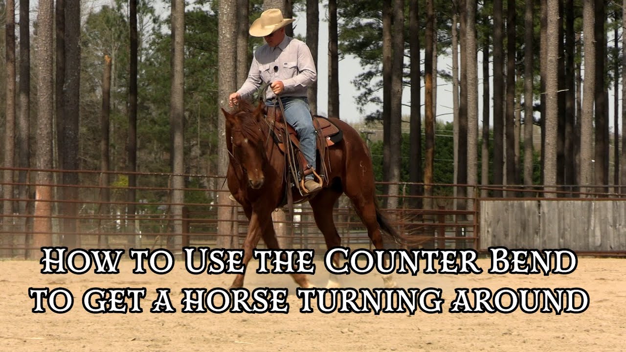 How To Use the Counter Bend to Get a Horse Turning Around Preview