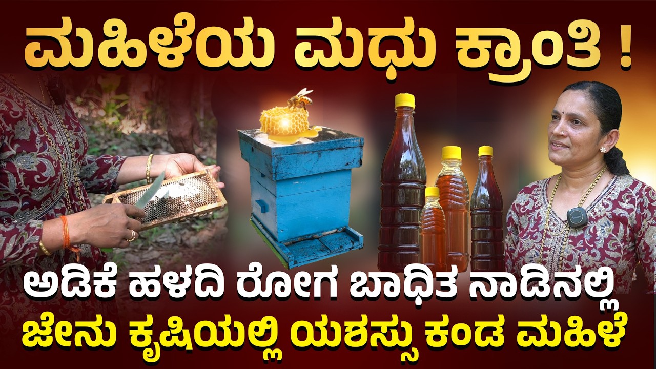 ಮಹಿಳೆಯ ಮಧು ಕ್ರಾಂತಿ ! | ಅಡಿಕೆ ಹಳದಿ ರೋಗ ಬಾಧಿತ ನಾಡಿನಲ್ಲಿ ಜೇನು ಕೃಷಿಯಲ್ಲಿ ಯಶಸ್ಸು ಕಂಡ ಮಹಿಳೆ