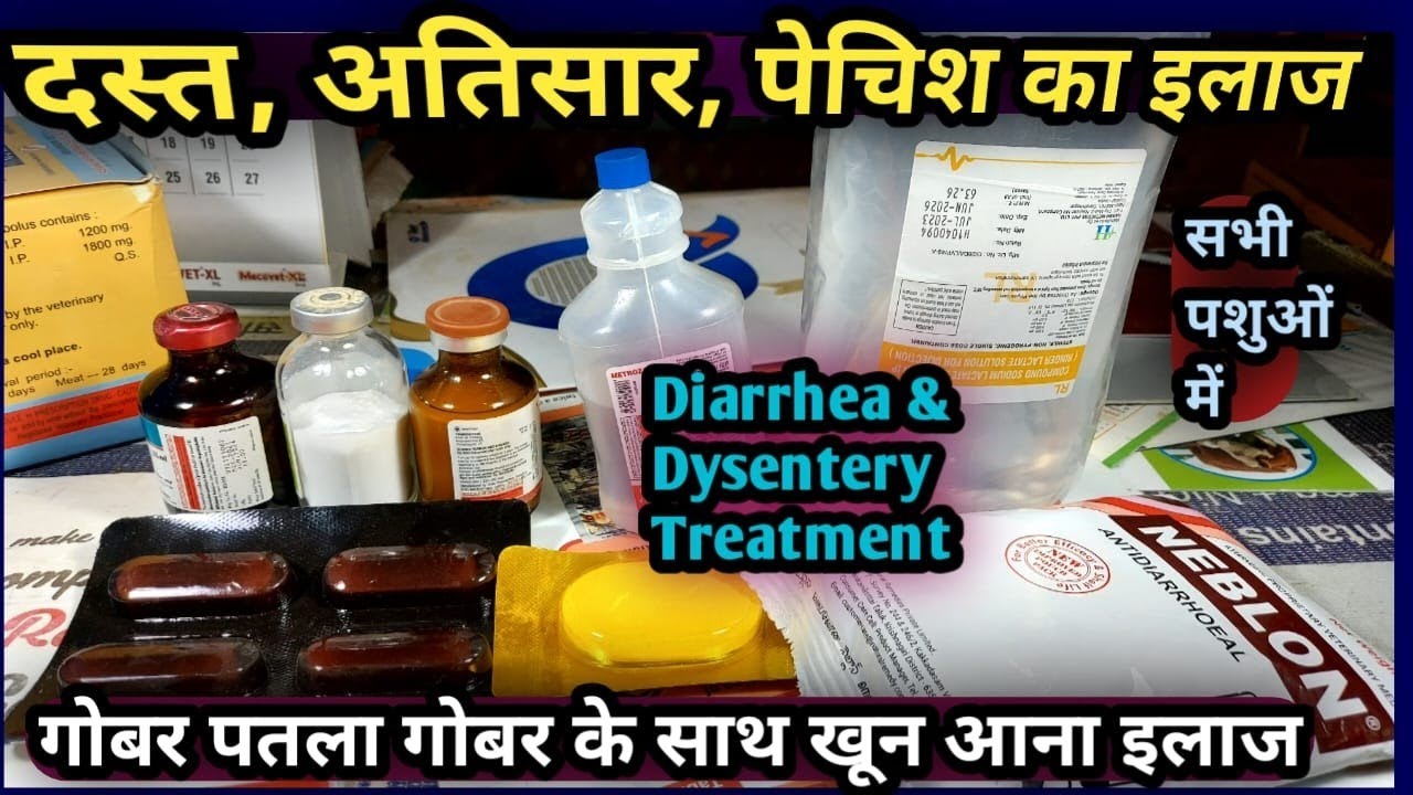 Diarrhea & Dysentry in Animals||दस्त, अतिसार, पेचिश का इलाज||गोबर पतला Vet-Disease