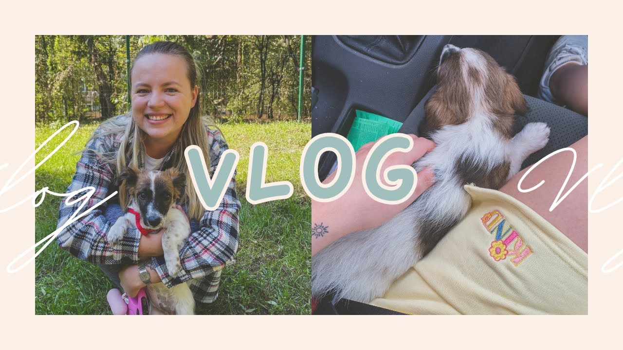 ВЛОГ | Взех си кученце 🐶 🧡 Първи кучешки покупки