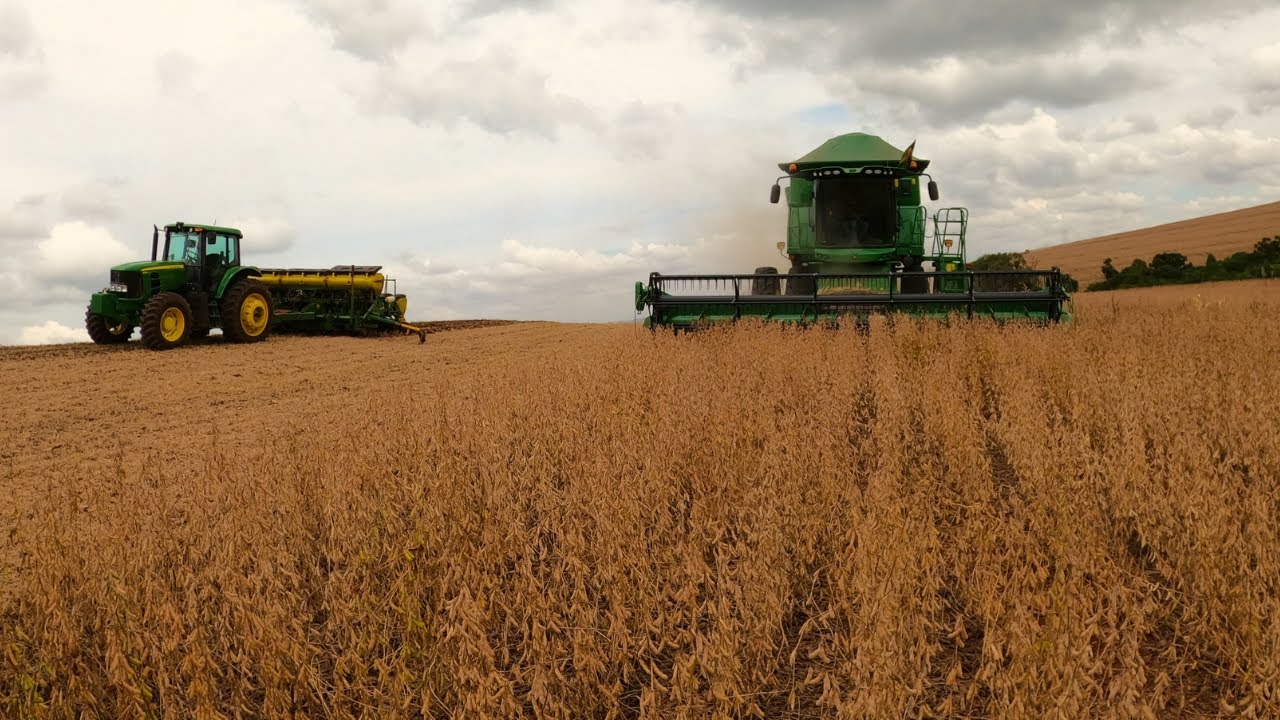 Colhendo soja de alta produção e plantando milho em uma ótima janela