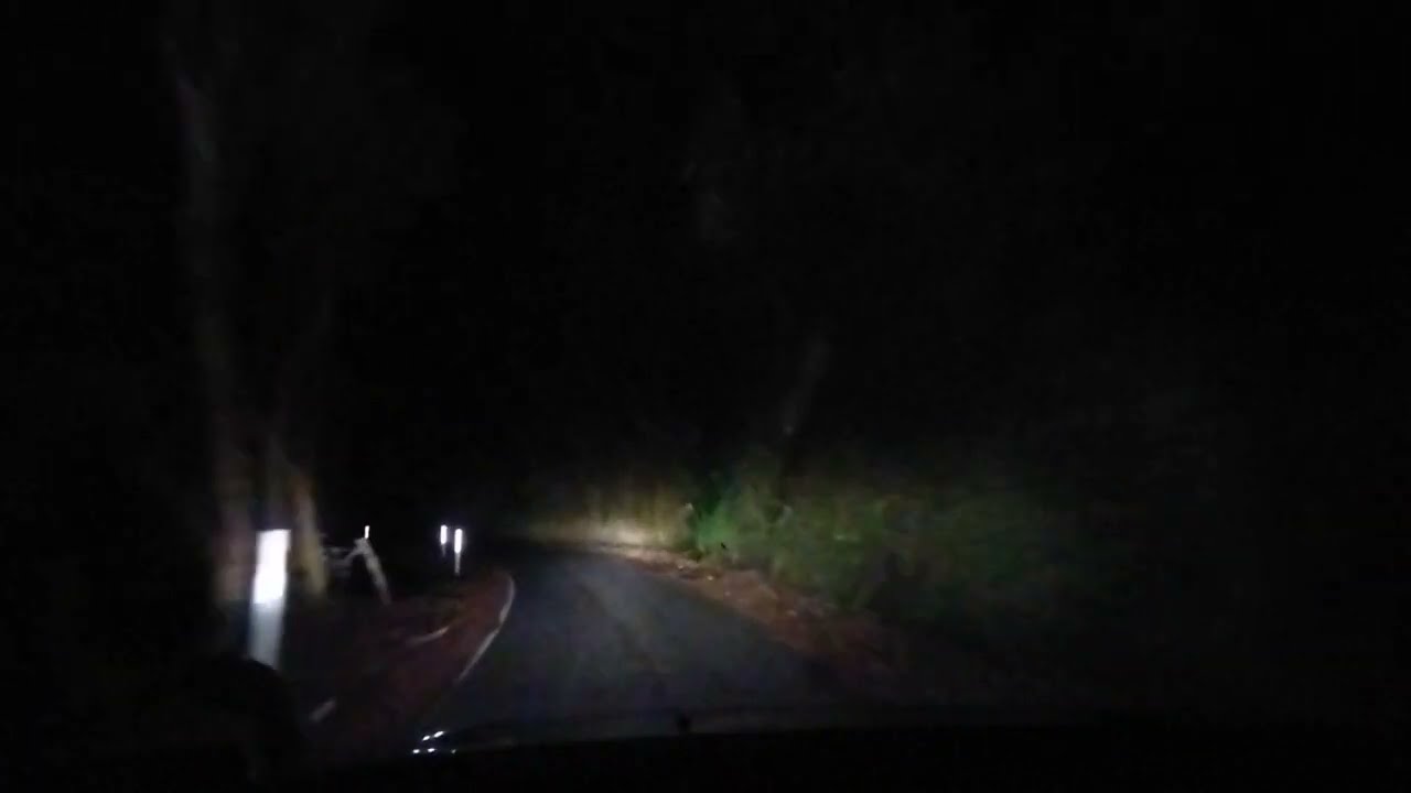 Night forest Drive 95 Return - Akatarawa Road Rambles