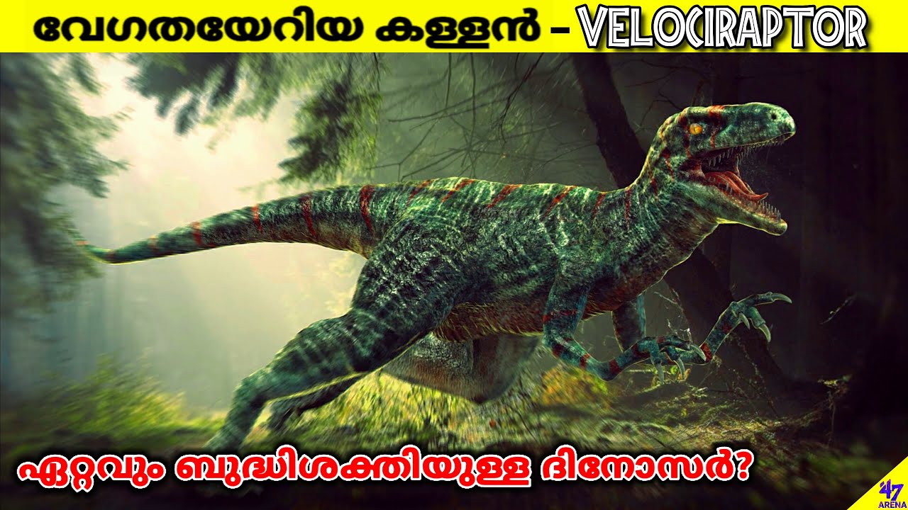 Velociraptor Facts Malayalam | The Most Cunning Dinosaur Ever Lived On Earth? | 47 ARENA