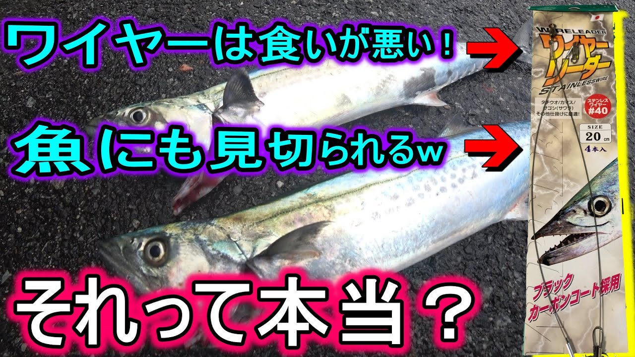 【ワイヤーリーダー釣れない説】を実釣&水中映像で検証してみた