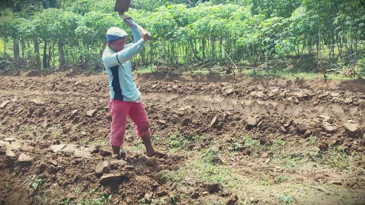 Manual Power: Creating the Perfect Garden From Scratch _FarmersLife _Shorts