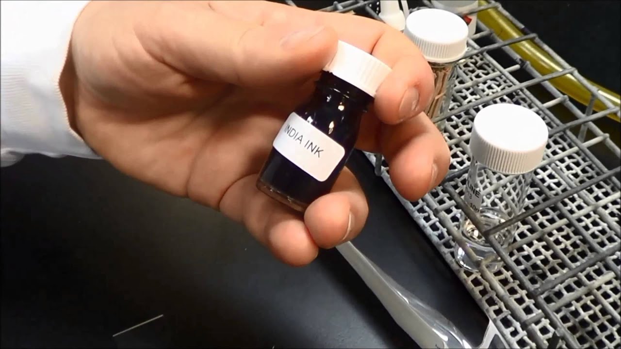 Capsule staining