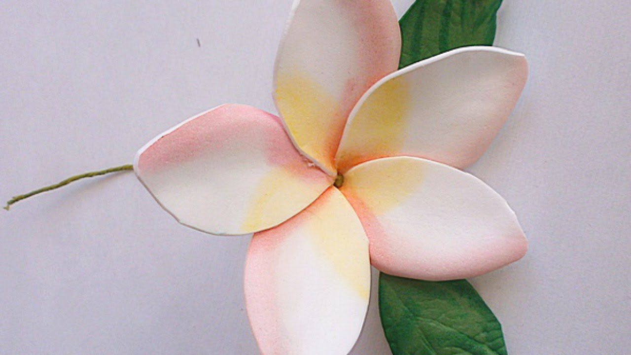 Make a Foam Paper Gentle Plumeria Flower - DIY Crafts - Guidecentral