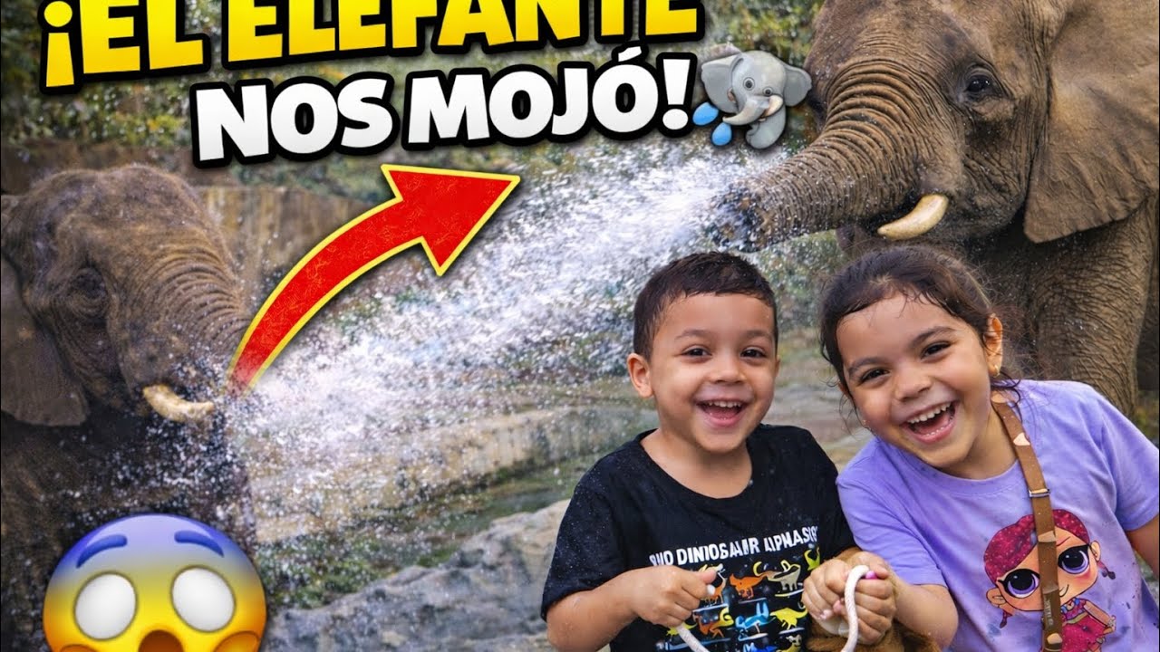 Fuimos al zoológico… ¡y el elefante nos mojó! 😱🐘💦
