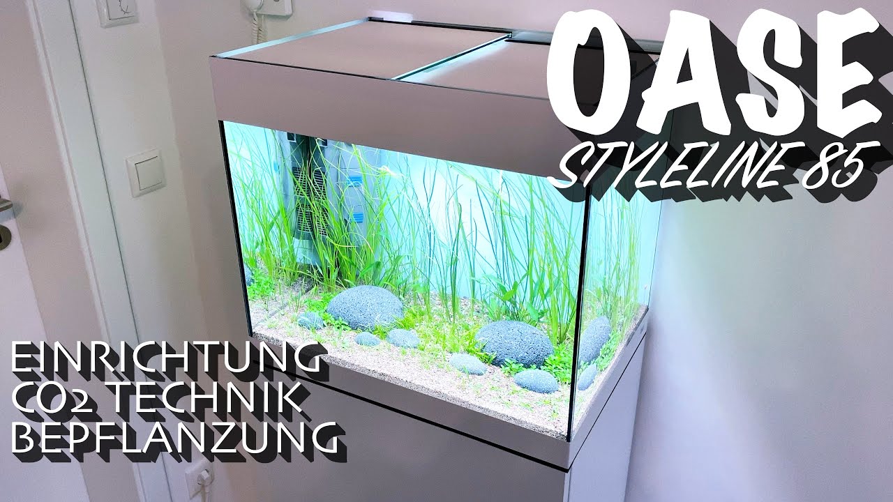 Oase StyleLine 85 - Einrichtung, CO2 Technik & Bepflanzung