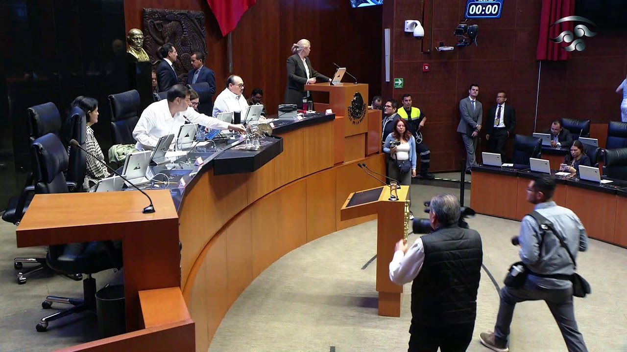 Sesión de la Cámara de Senadores, del 29 de abril de 2025