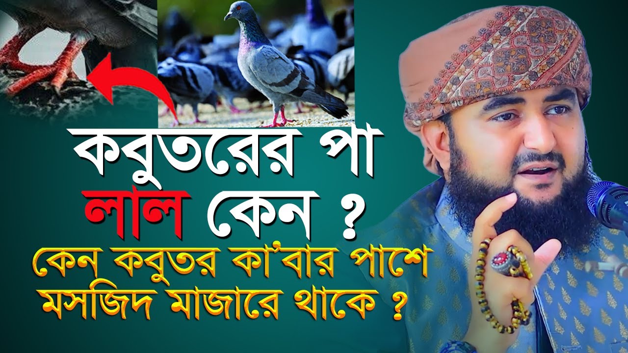কবুতরের পা লাল কেন ? কেন কবুতর কা'বার পাশে মসজিদ মাজারে থাকে ? mustafiz rahmani